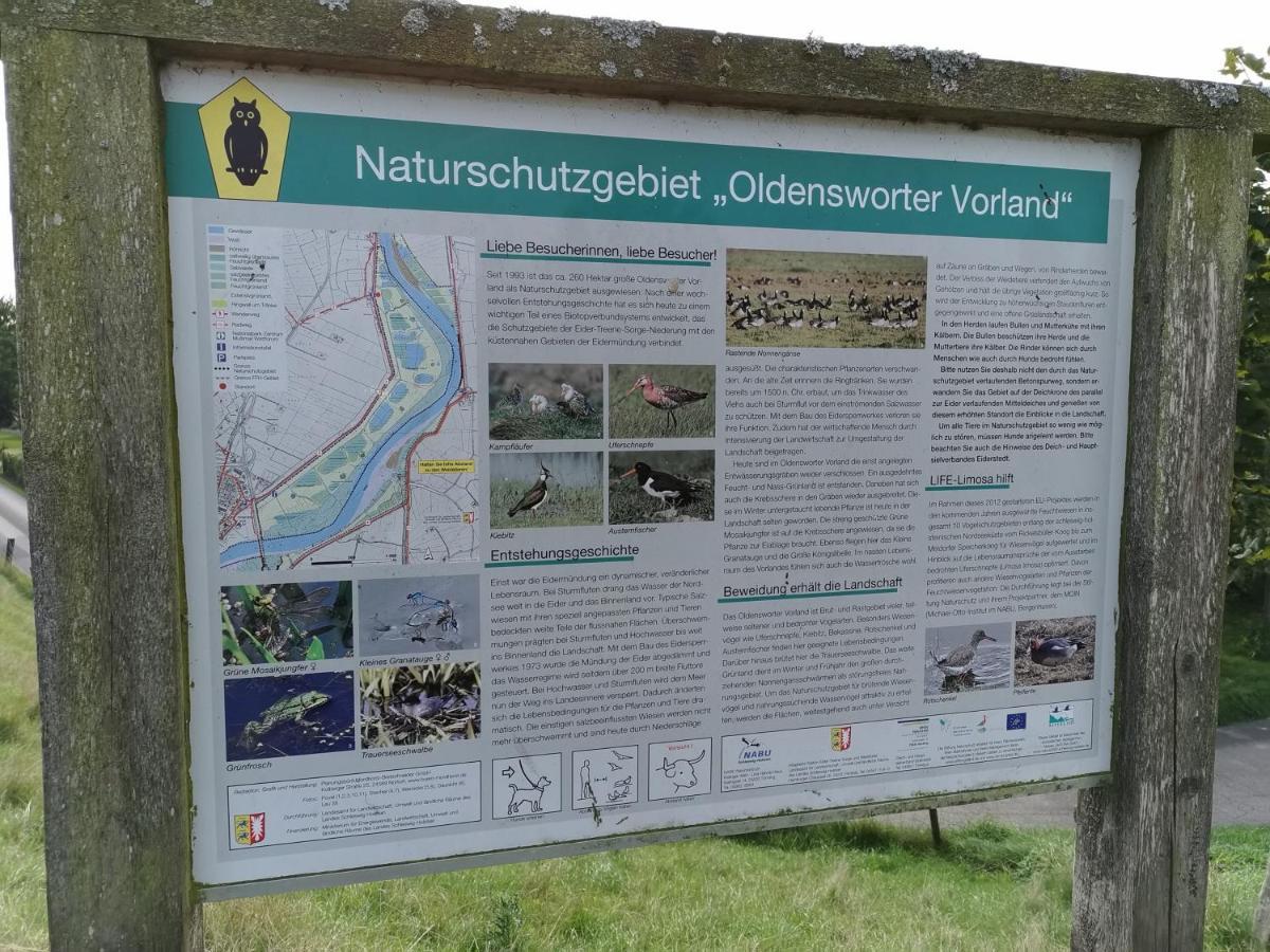 Gaestehaus Hemmerdeich-Alte Schule Oldenswort Eksteriør billede